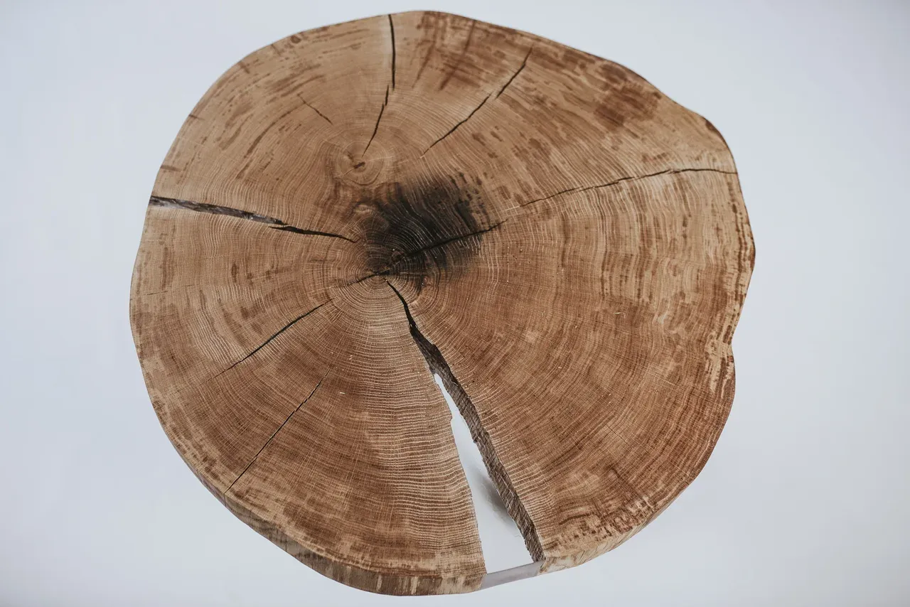 Stolik kawowy dębowy z plastra drewna z żywicą - zdjęcie
