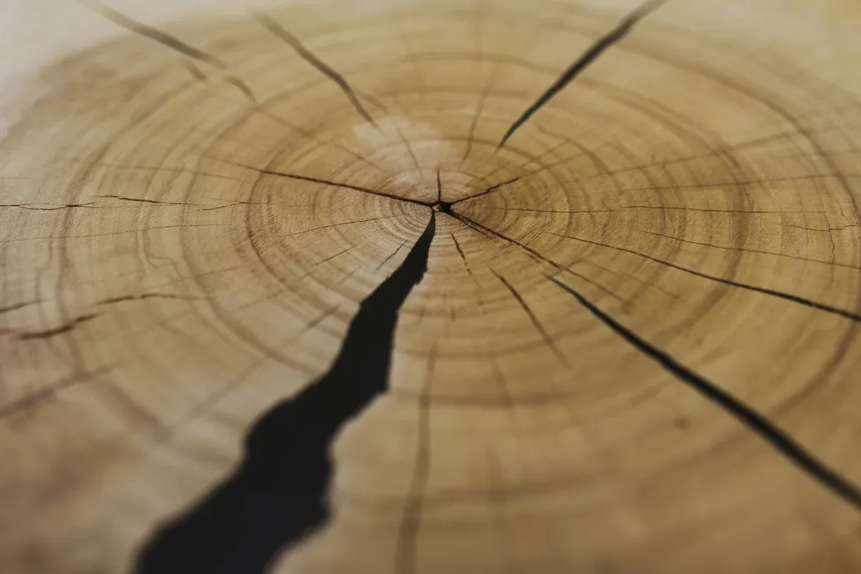 Stolik kawowy topolowy z plastra drewna z żywicą - zdjęcie