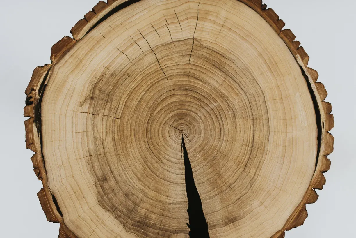 Stolik okrągły topolowy z plastra drewna z korą - zdjęcie